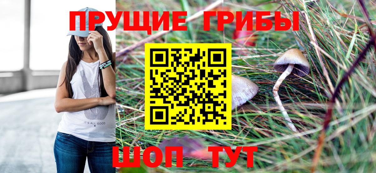 Химки  Псилоцибиновые грибы ЛСД  Вход с VPN 